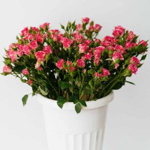 Un Jour Romantique